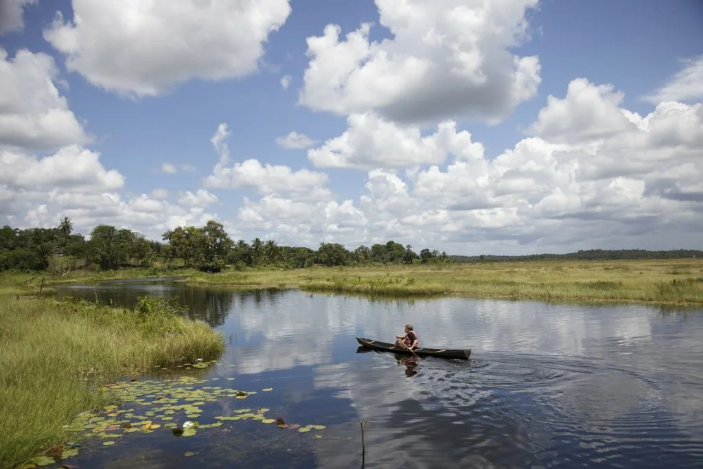 Rivière sereine serpentant à travers la forêt tropicale en Guyane, offrant un cadre naturel exceptionnel pour un déménagement en Guyane